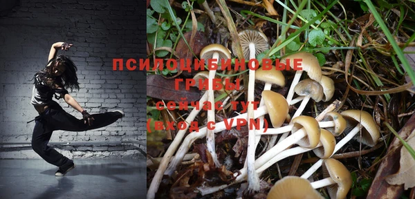 соль ск Аркадак