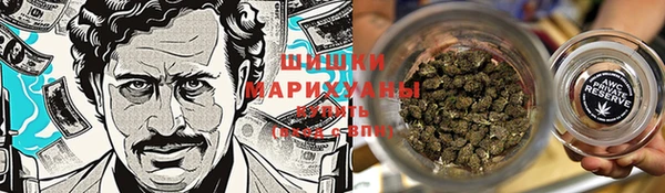 винт Арсеньев