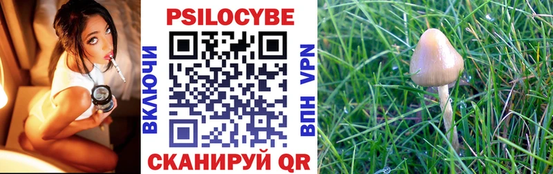 Псилоцибиновые грибы MAGIC MUSHROOMS  Магадан 